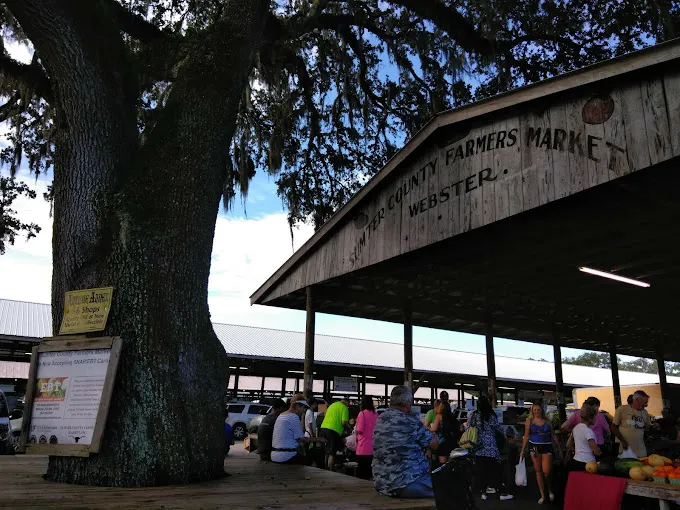 Sumter County Farmers Market — Saturday Produce Market