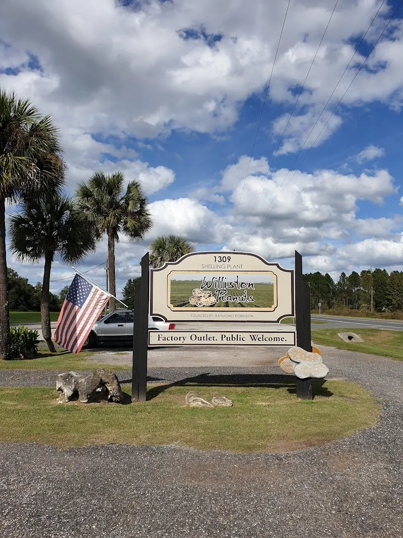Williston Peanut Factory Outlet